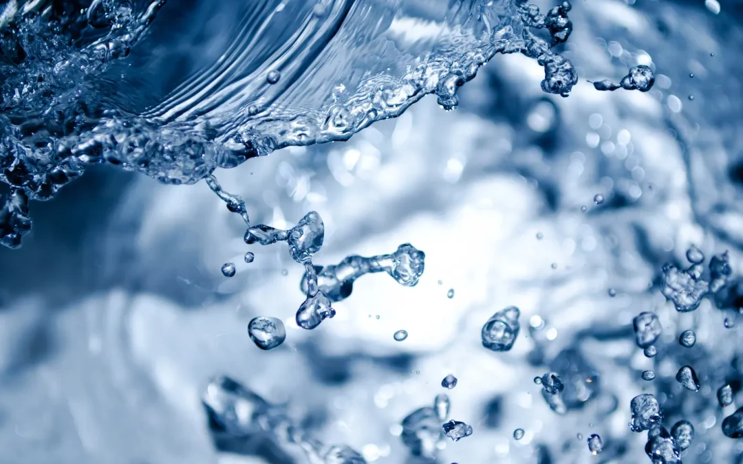 Water Filtration and Purification Systems